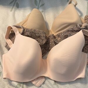 Set of Three Elegant Cream and Tan Women's Bra Set